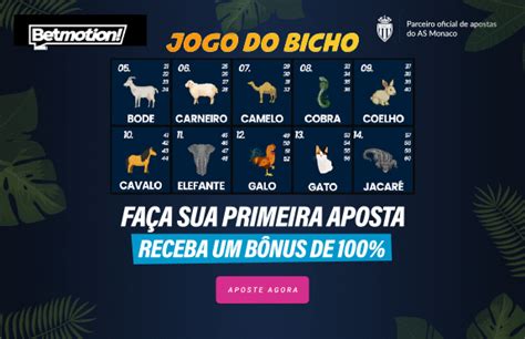 jogo do bicho ao vivo